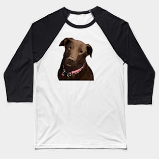 Chocolate Lab Baseball T-Shirt